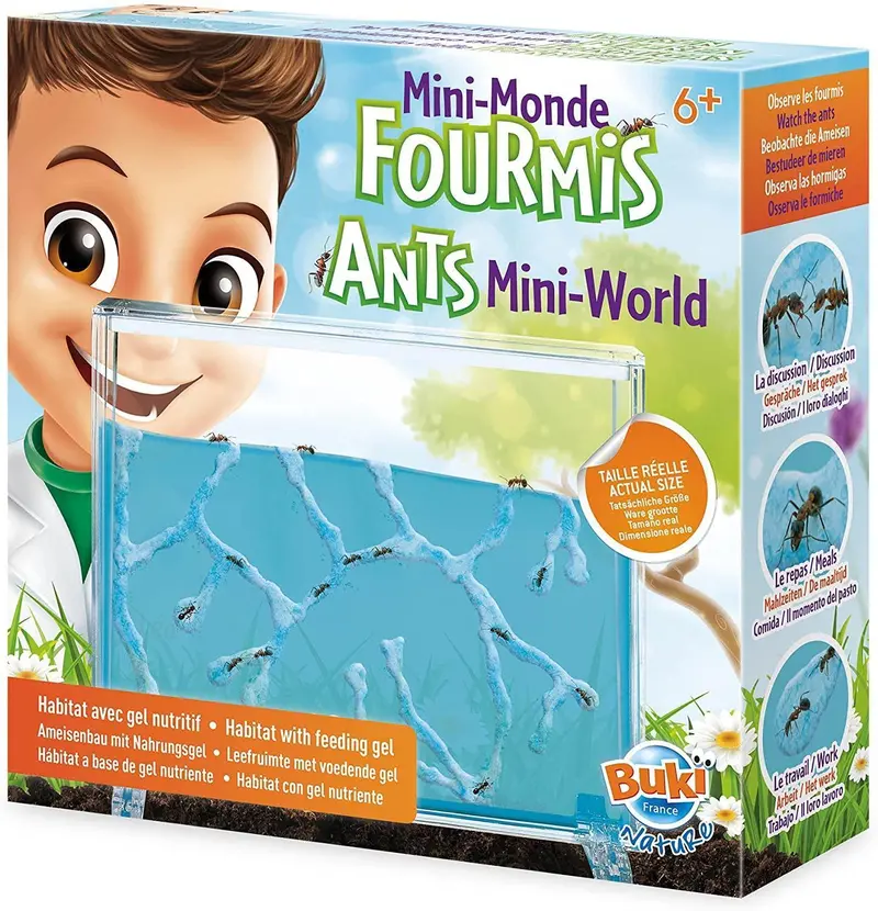 Buki France Mini-World Ant Habitat Kit For Kids 1