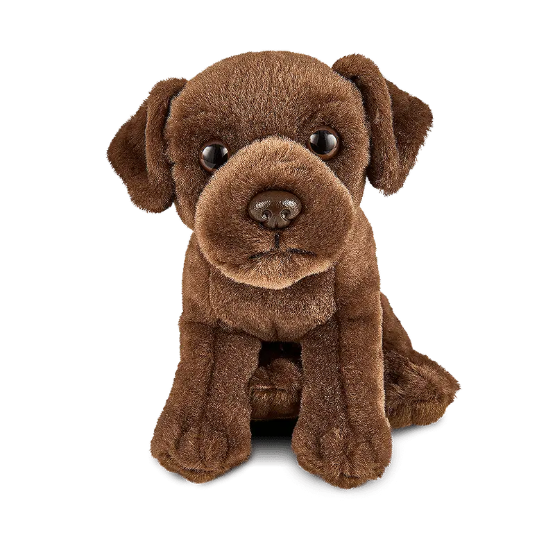 Chocolate Labrador Puppy Plush – 15Cm Realistic Soft Toy 1