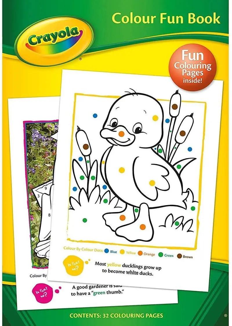Crayola Colour Fun Activity Book – Creative Learning Workbook 1