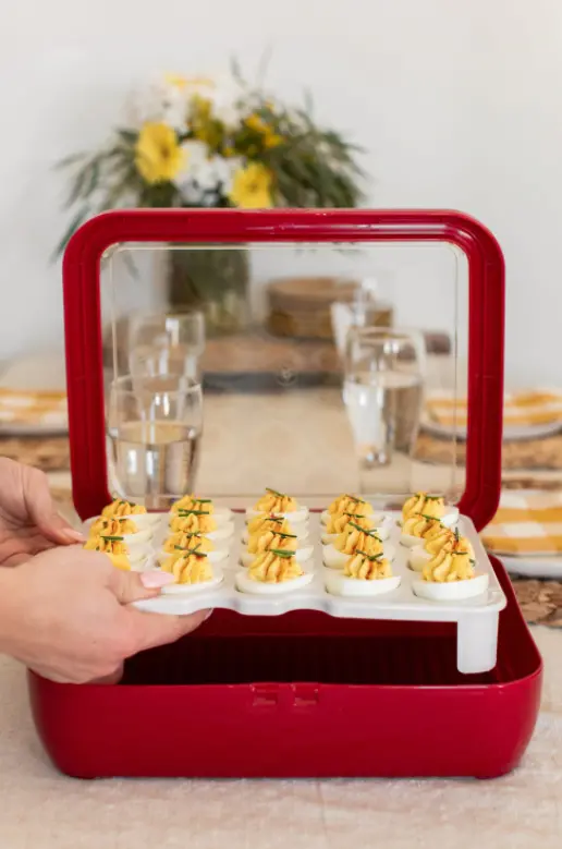Fancy Panz Classic Deviled Egg Serving Tray 1
