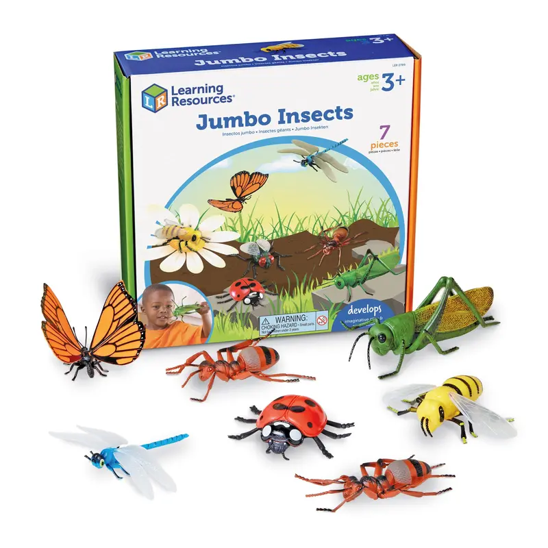 Jumbo Insect Models – Realistic Science Exploration Set 1