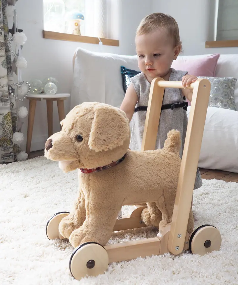 Little Bird Told Me Dexter Dog Push-Along Toy – Toddler Walking Aid & First Stepper 1