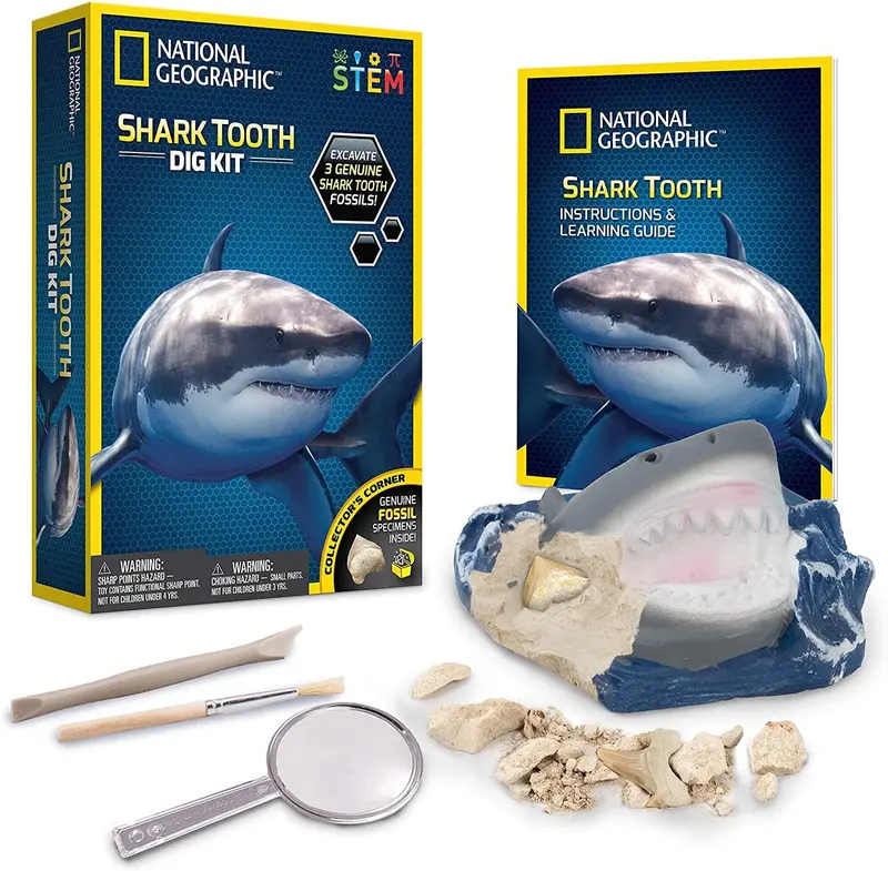 National Geographic Shark Tooth Excavation Kit For Kids 1