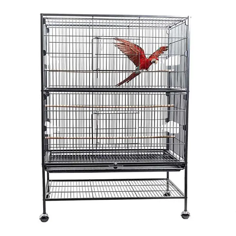 Spacious Parrot Cage With Perch, Carrier, And Aviary Accessories 1